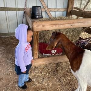 Meet your Posher, Ebony